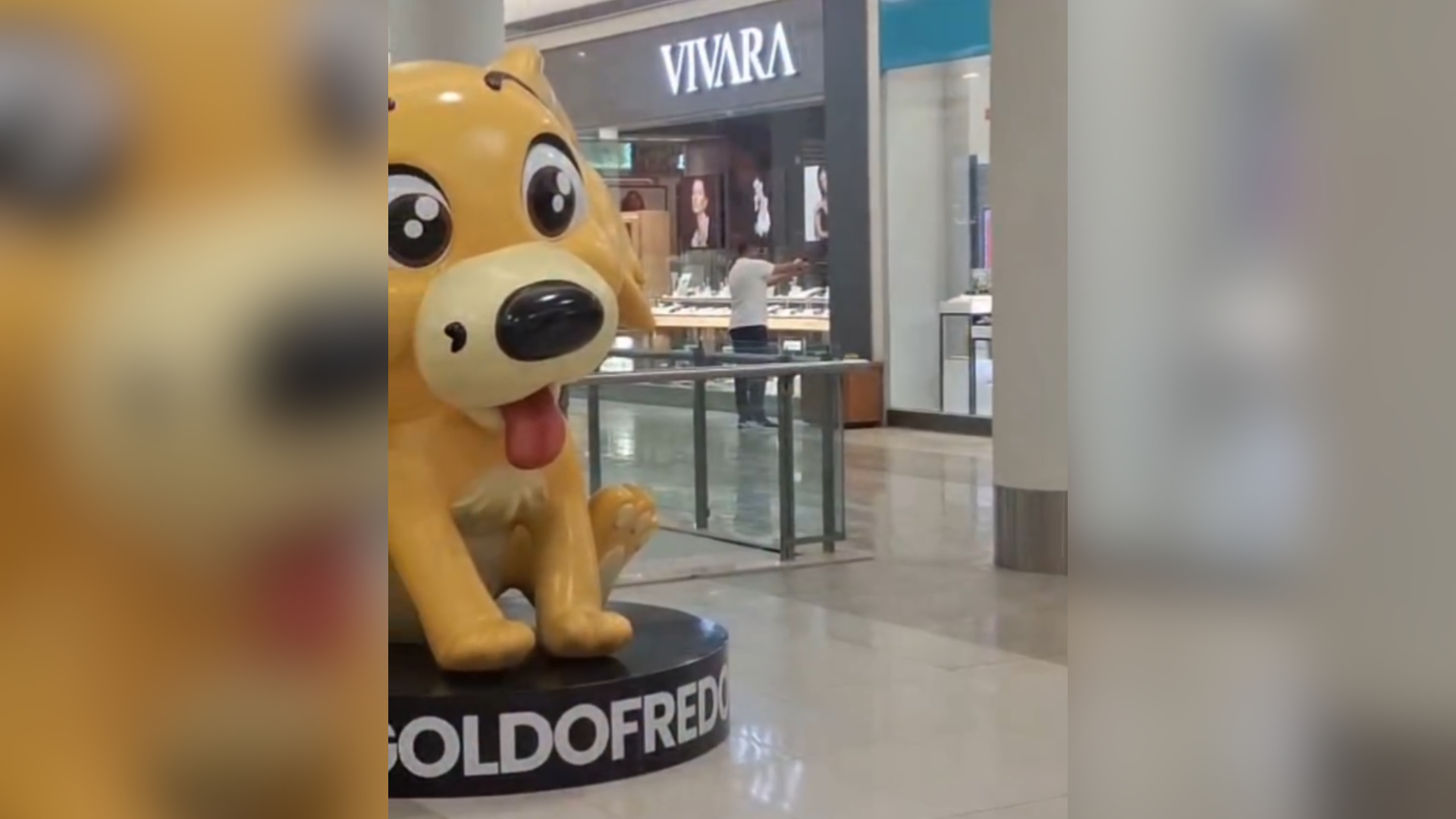 Feminicídio em shopping: descumprir medida pode piorar pena