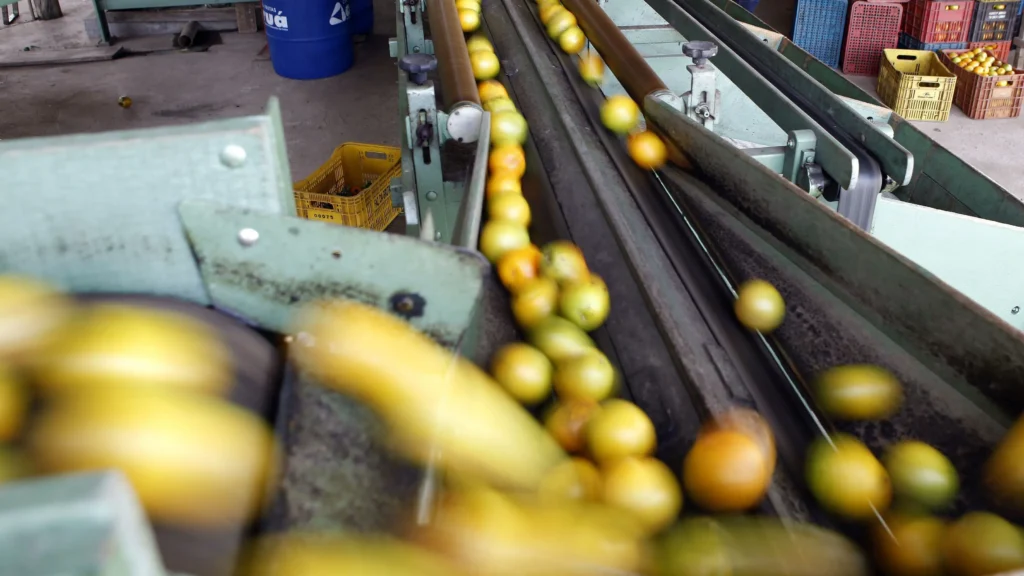 Guerra deve aumentar custos de produção da citricultura no Brasil