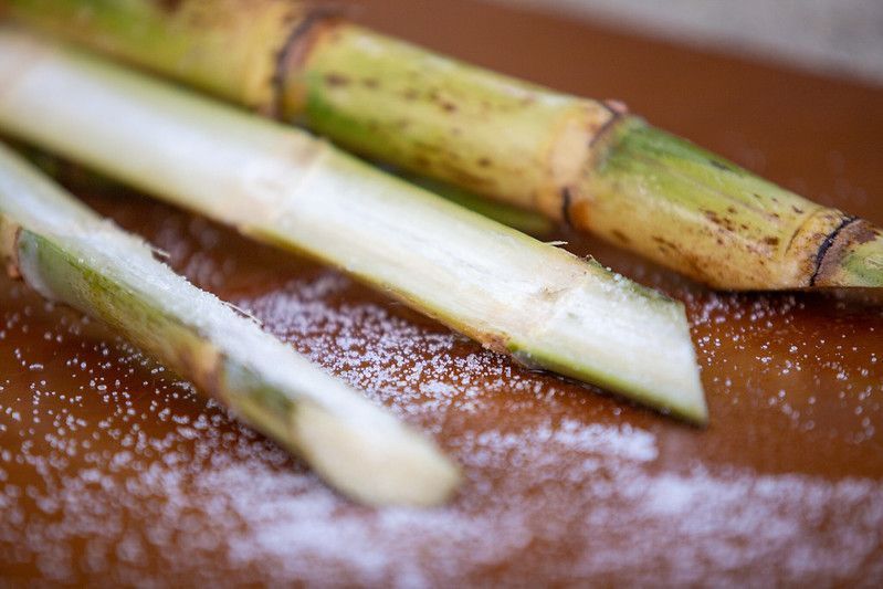 Brasil testa seu poder global nos biocombustíveis e inovações