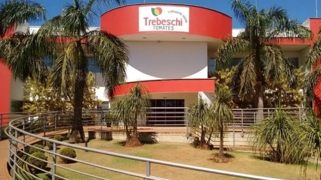 Com dívida bilionária, Grupo Trebeschi busca reestruturação financeira