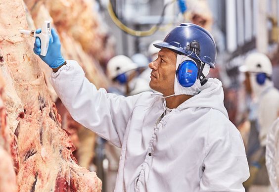Minerva projeta maior rentabilidade com China e novas oportunidades