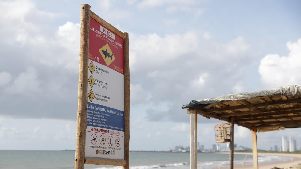 Vítimas de ataques de tubarão estão internadas na UTI em Pernambuco