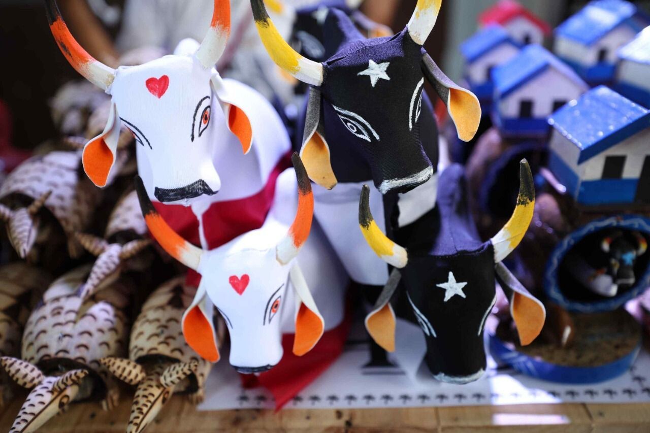Festival de Parintins 2026: As Incríveis Festas de Caprichoso e Garantido