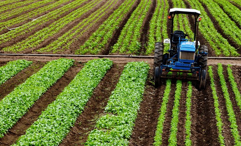 Preço dos alimentos deve ser impactado após tarifaço nos EUA