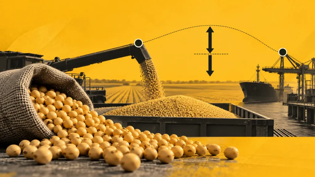 Basis e prêmio da soja: como afetam o preço ao produtor