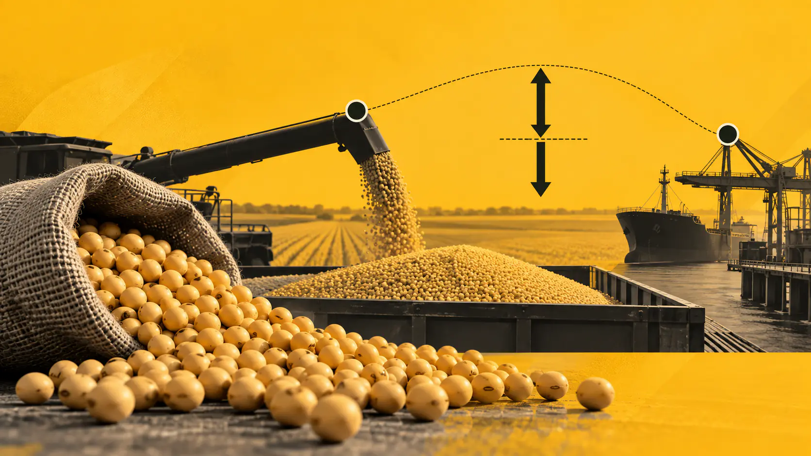 Basis e prêmio da soja: como afetam o preço ao produtor