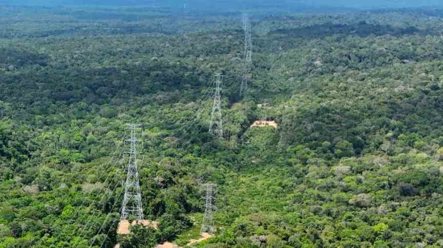 Leilão: Celeo Redes conquista lote 8 em Rondônia com deságio significativo