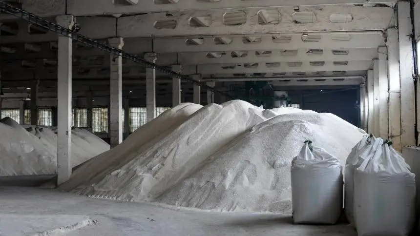 Atraso nas importações de fertilizantes e impacto na demanda