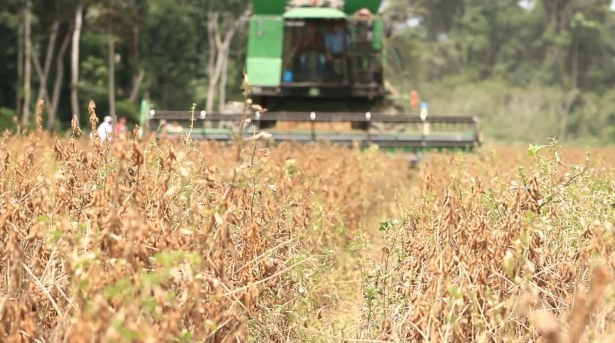 Importação de máquinas agrícolas sobe 42%; entenda a queda nas vendas