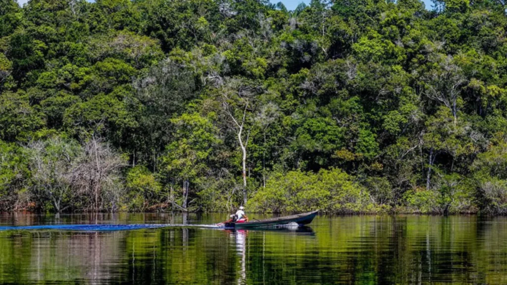 Queda do desmatamento na Amazônia evita emissões até 2025