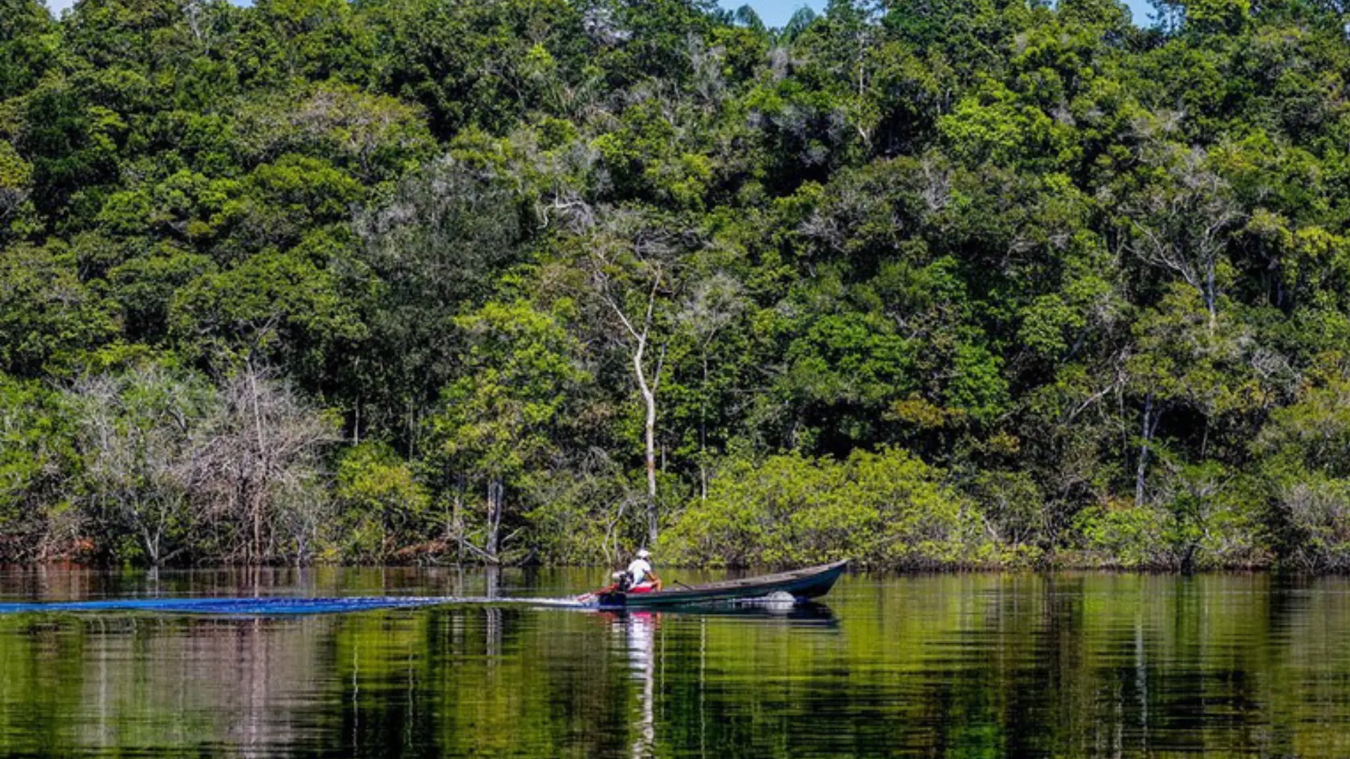 Queda do desmatamento na Amazônia evita emissões até 2025